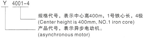 西安泰富西玛Y系列(H355-1000)高压YKS5603-8/1000KW三相异步电机型号说明