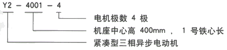 YR系列(H355-1000)高压YKS5603-8/1000KW三相异步电机西安西玛电机型号说明